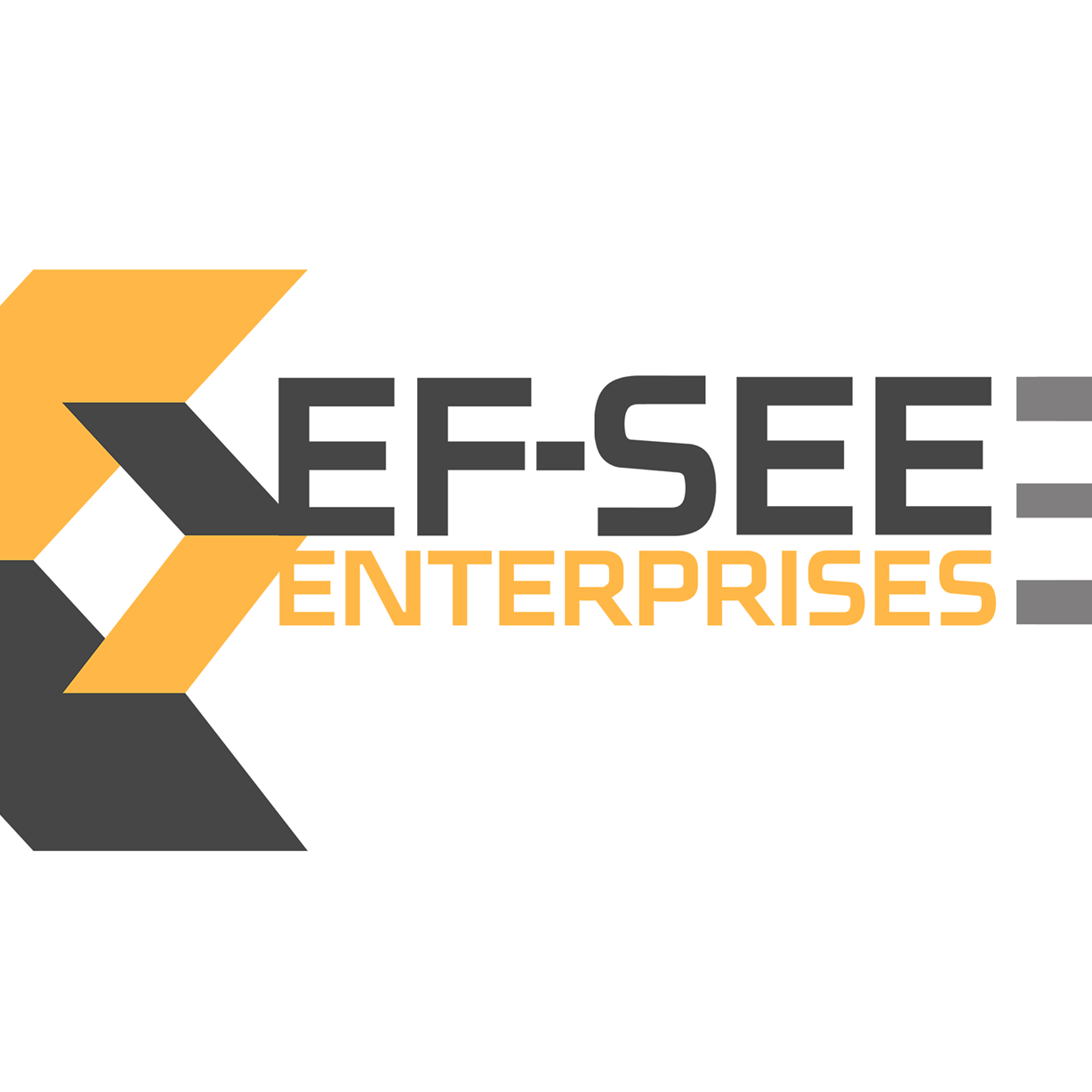 EF-SEE 3 ENTERPRISE